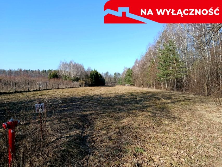 Zdjęcie 3