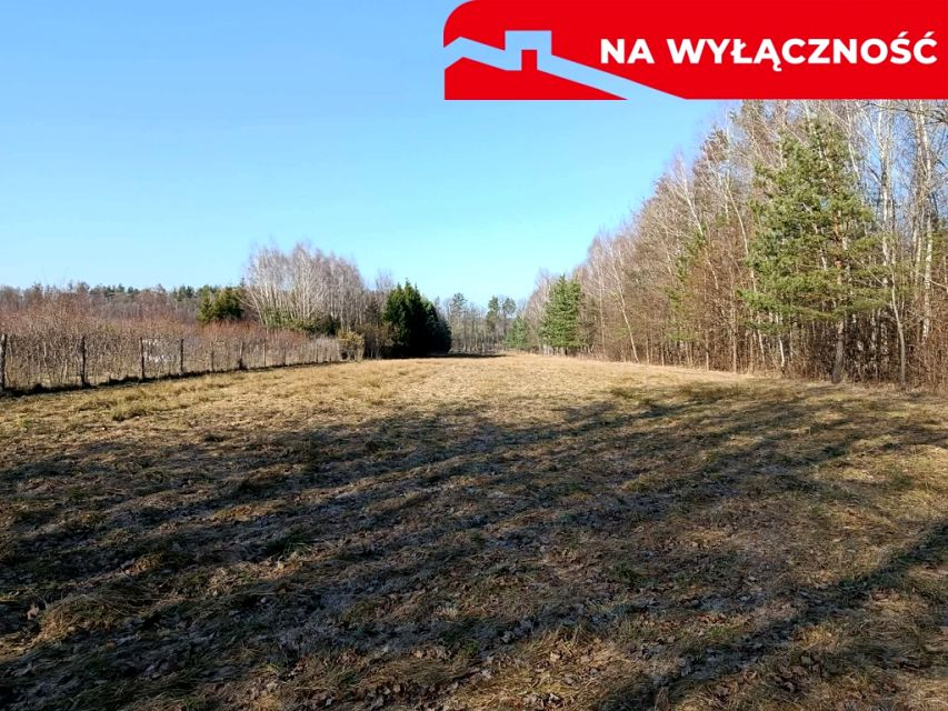 Zdjęcie 2