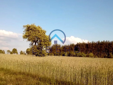 Działka budowlana Huta Podgórna