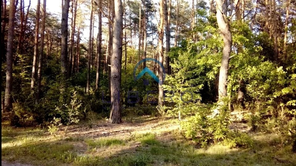 Zdjęcie 3