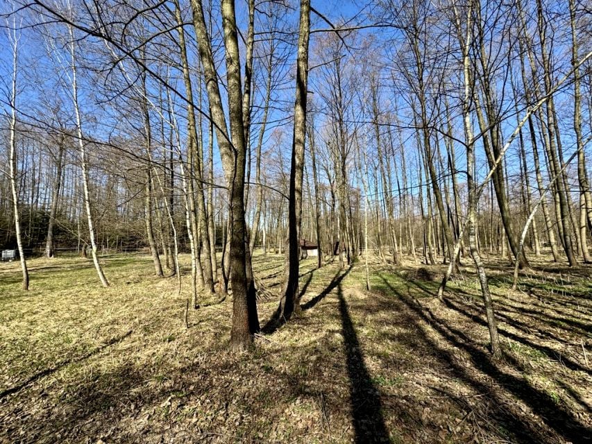 Zdjęcie 3