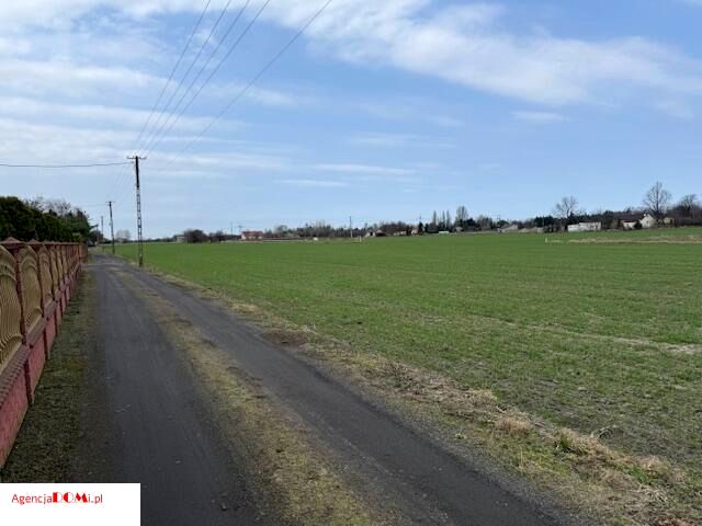 Działka rolna Żaby