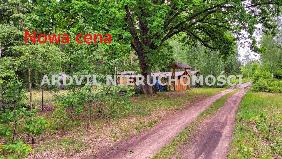 Ogrodzona działka Horodniany