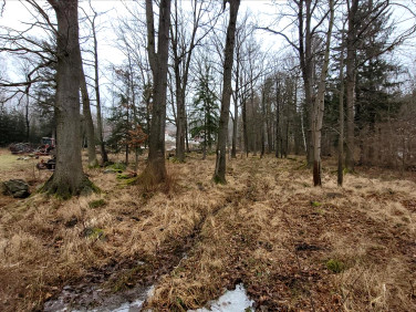 Działka budowlana Piechowice