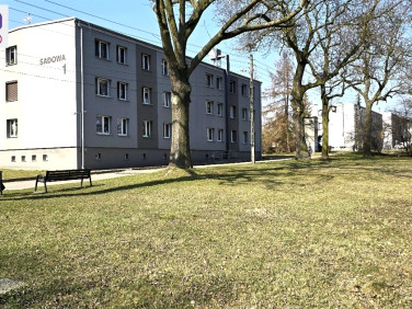 Mieszkanie Kamieniec