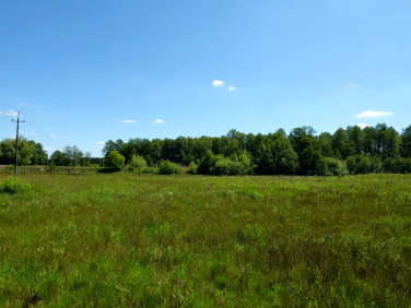 Działka budowlana Dobroszyce