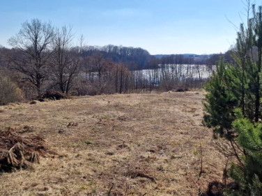 Działka rekreacyjna Liniewo