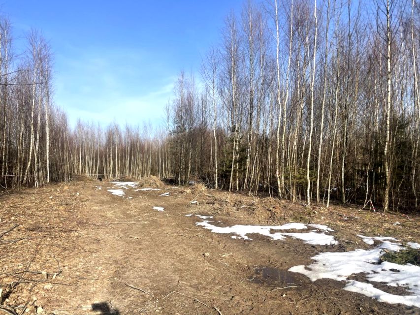 Działka budowlana Trzepowo