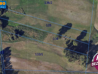 Działka rolna Pieranie