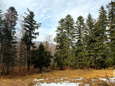 Działka inna Szczyrk sprzedam