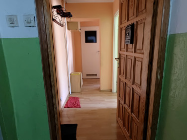 Mieszkanie blok mieszkalny przy lesie