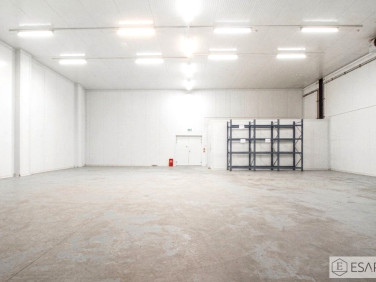 Budynek użytkowy Piaski