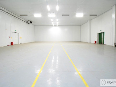 Budynek użytkowy Piaski