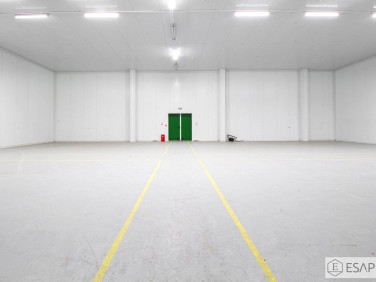 Budynek użytkowy Piaski