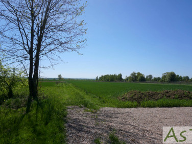 Działka rolna Wołowice