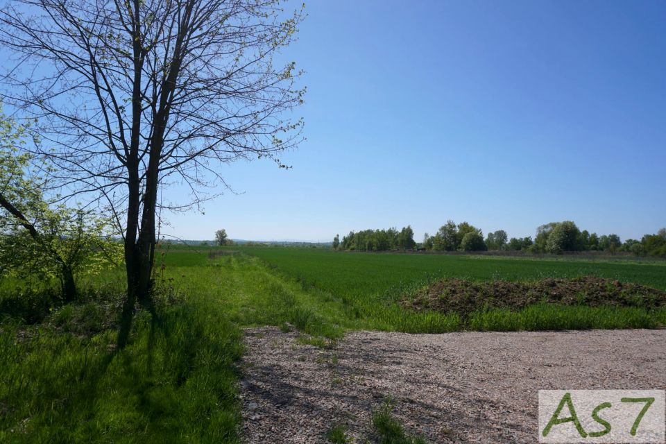 Działka rolna Wołowice