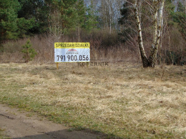 Działka budowlana Ciechocin