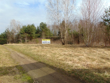 Działka Ciechocin