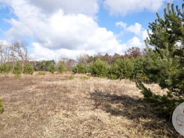 Działka budowlana Esterpole