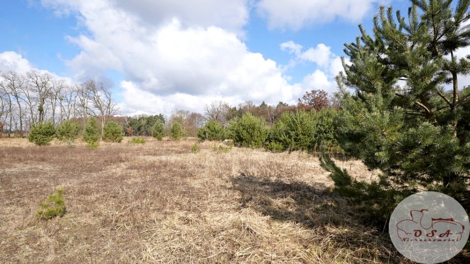 Działka budowlana Esterpole