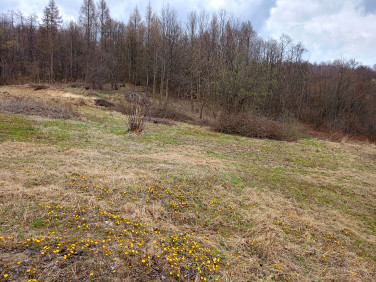 Działka budowlano-rolna Zaborów