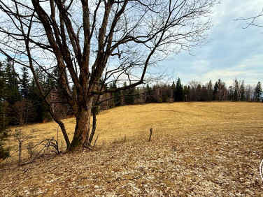 Działka inna Szczyrk