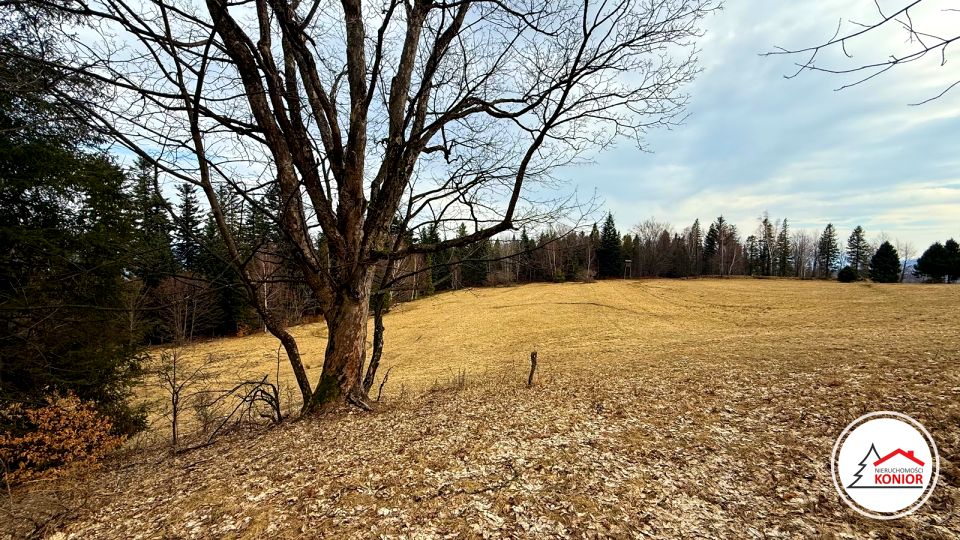 Działka inna Szczyrk