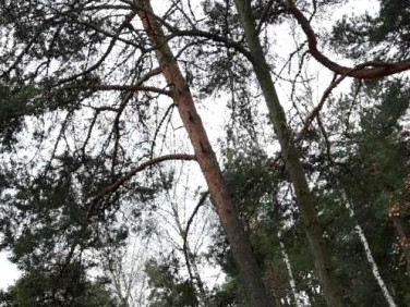 Działka budowlana Józefów