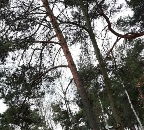 Działka budowlana Józefów