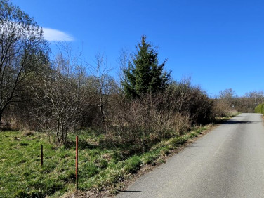 Działka budowlana Stary Wielisław