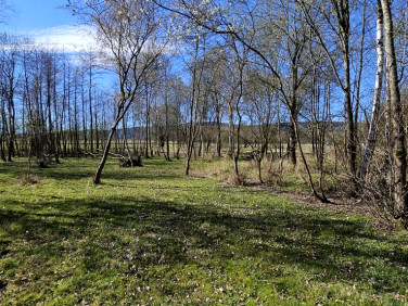 Działka Stary Wielisław