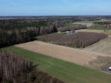 Działka budowlana Kazimierz