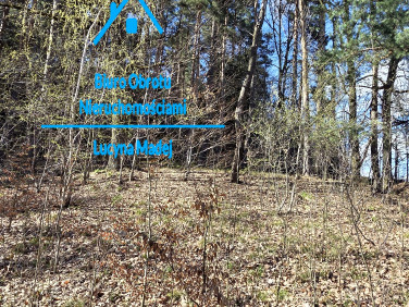 Działka leśna sprzedam