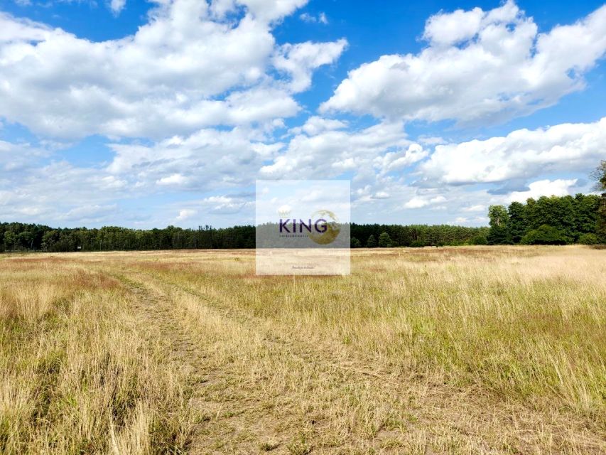 Działka rolna Stolec