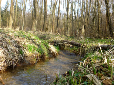 Działka budowlana Brzyczyna