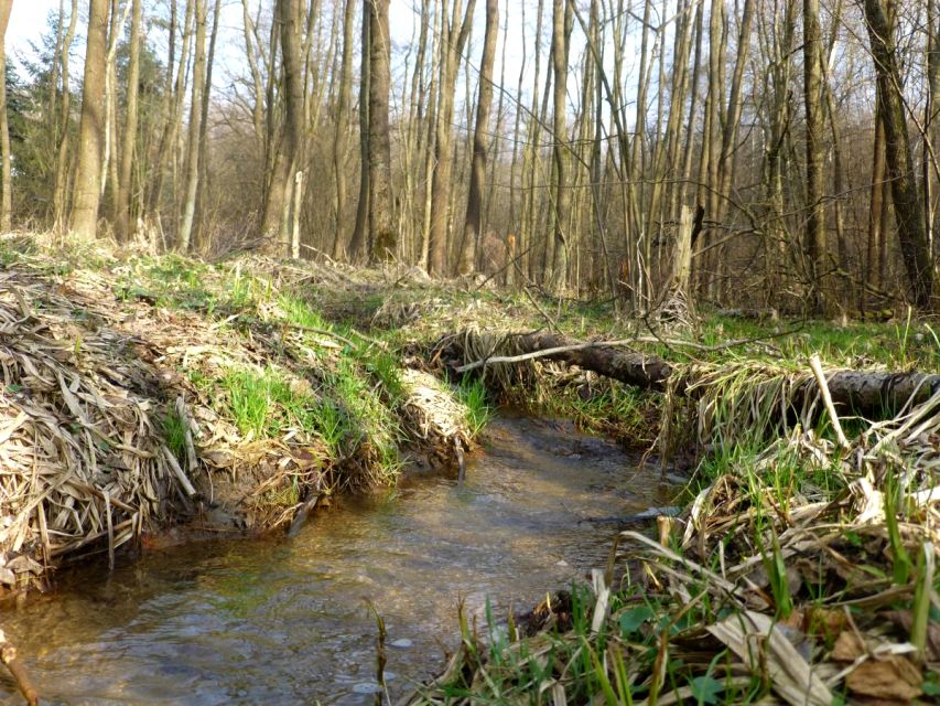 Działka budowlana Brzyczyna