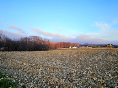 Działka budowlana NOWODWORZE