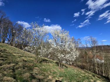 Działka budowlana Głębock