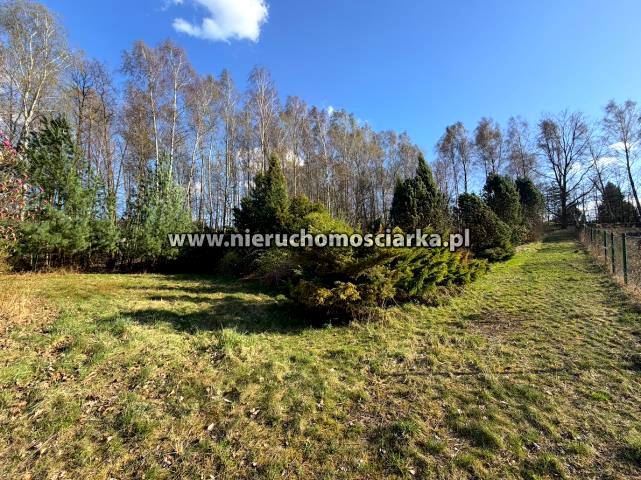 Działka budowlano-rolna Wodzisław Śląski