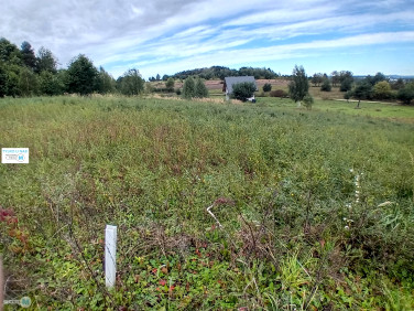 Działka budowlana Wola Morawicka