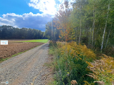Działka siedliskowa Sędek