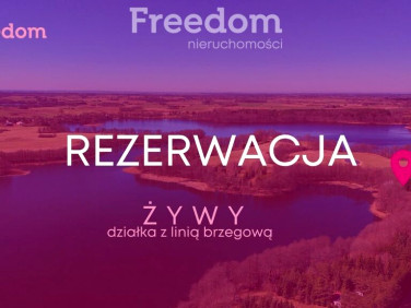 Działka Żywy