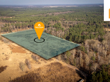 Działka rolna Żółwia Błoć