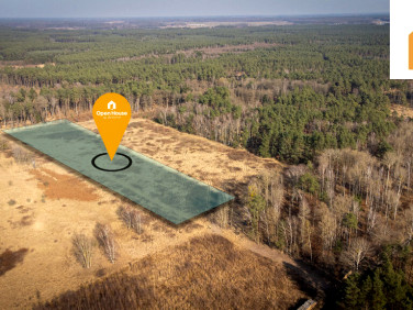 Działka rolna Żółwia Błoć