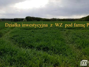 Działka Przemocze
