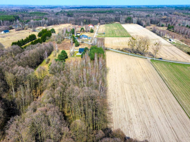 Działka usługowa Radziejowice