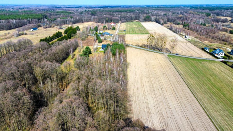 Działka usługowa Radziejowice