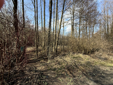 Działka budowlana Zofiówka