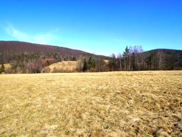 Działka rolna Regietów