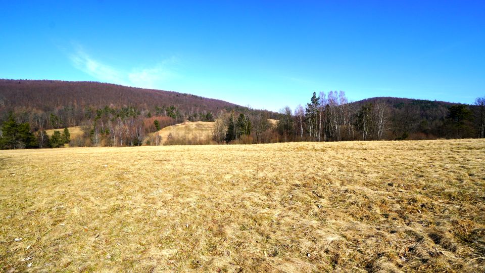 Działka rolna Regietów